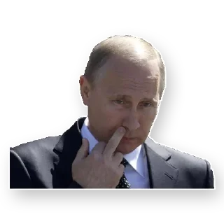 🖕 emoji Putin (@T3SL4) Telegram sticker 9 of 20