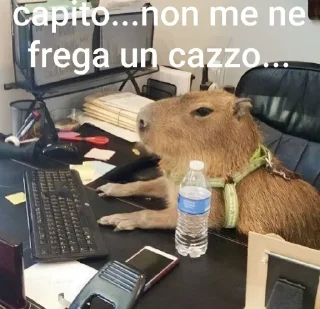😒 emoji Che burro! | @ElxesStickers Telegram sticker 20 of 29