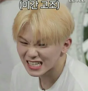💎 emoji Svt gose memes Telegram sticker 22 of 100