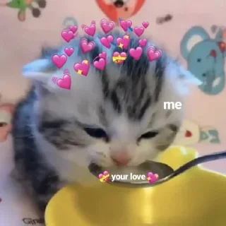 💞 emoji tess Telegram sticker 19 of 72