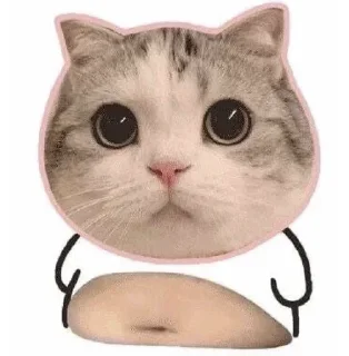 😕 emoji Tess專用 Telegram sticker 13 of 87