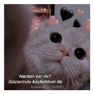 🙈 emoji Bıyıklımm🙈 Telegram sticker 13 of 14