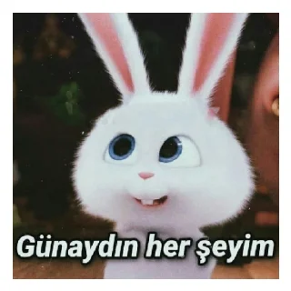 🙈 emoji Bıyıklımm🙈 Telegram sticker 8 of 14