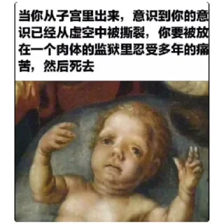😁 emoji Philosophy Memes in Chinese Telegram sticker 7 of 30