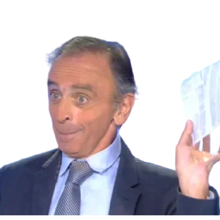 🤩 emoji Zemmour Telegram sticker 19 of 35