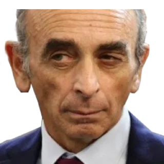 🤨 emoji Zemmour Telegram sticker 6 of 35