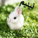 😏 emoji 🐰دوشان🐰 Telegram sticker 19 of 52