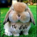 🤔 emoji 🐰دوشان🐰 Telegram sticker 17 of 52