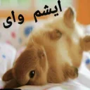 😛 emoji 🐰دوشان🐰 Telegram sticker 11 of 52