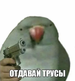 Sticker from Мы такие пЛиКольные
