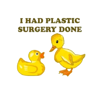 Sticker from 🦆📴