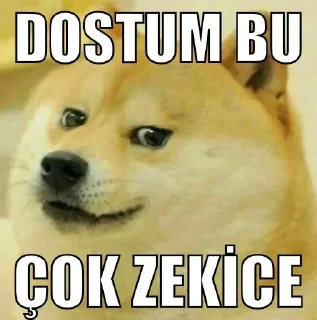 😁 emoji @emektar_reis | 🌃 @EpicUserBot Paketi | 1 Telegram sticker 12 of 120