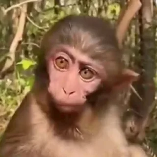 Sticker from Mono 2