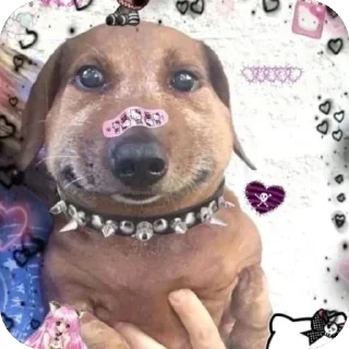 Sticker from идзукуасовна че это