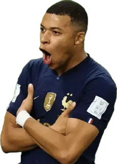 Sticker from Niggerball FC