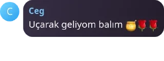🍯 emoji YEMİNLE İMDAT YAA!! pack by @QuotLyBot Telegram sticker 20 of 120