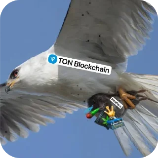 🐦 emoji Telegram & NFT via @adolfpupij Telegram sticker 8 of 41