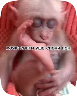Sticker from Обезьянки поны