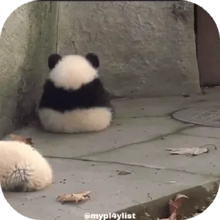 🐼 emoji @Estickrs 🌭 @Dastarkhan_Fatema Telegram sticker 19 of 103