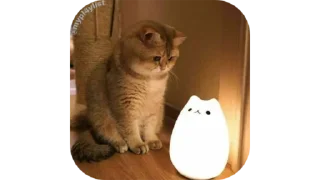 🐱 emoji @Estickrs 🌭 @Dastarkhan_Fatema Telegram sticker 23 of 103