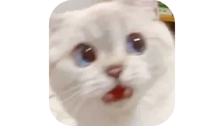 🐱 emoji @Estickrs 🌭 @Dastarkhan_Fatema Telegram sticker 20 of 103