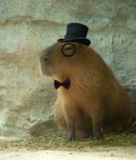 Sticker from Capybara