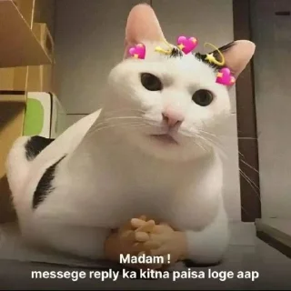 😆 emoji Nepalii @Oreo_Afk Telegram sticker 14 of 45