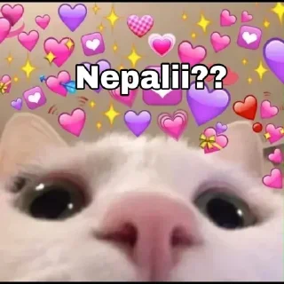 🙄 emoji Nepalii @Oreo_Afk Telegram sticker 8 of 45
