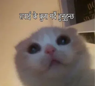 🤔 emoji Nepalii @Oreo_Afk Telegram sticker 5 of 45