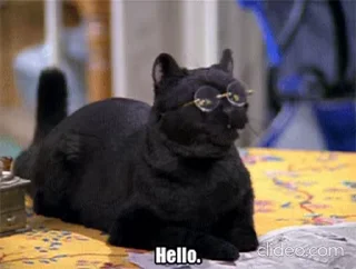 🐈‍⬛️ emoji Salem @MyselfMeandIo Telegram sticker 17 of 50