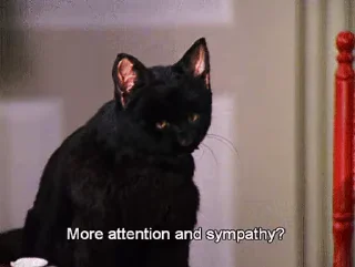 🐈‍⬛️ emoji Salem @MyselfMeandIo Telegram sticker 18 of 50