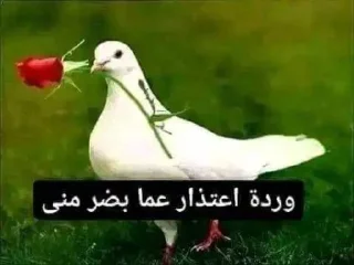😳 emoji زنجباديات @MXGE_25 Telegram sticker 5 of 84