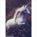 🦄 emoji Negative pack_ Design by Meti_ Packed by Erfan Telegram sticker 8 of 120