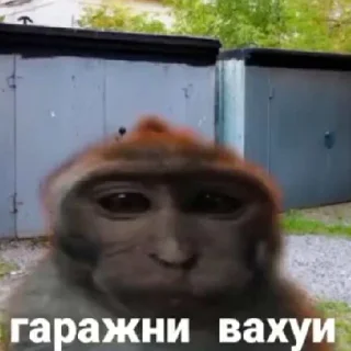 Sticker from вахуи