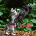 😡 emoji Savage Telegram sticker 8 of 29