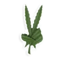 Sticker from weed
