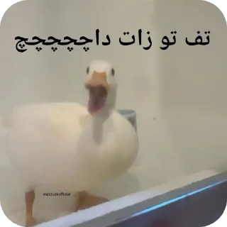 👍 emoji آبعلی 👌 Telegram sticker 2 of 120