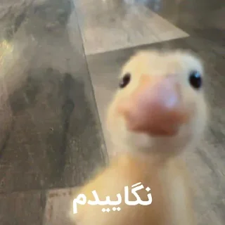 🤨 emoji آبعلی 👌 Telegram sticker 6 of 120