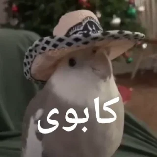 🌷 emoji آبعلی 👌 Telegram sticker 1 of 120