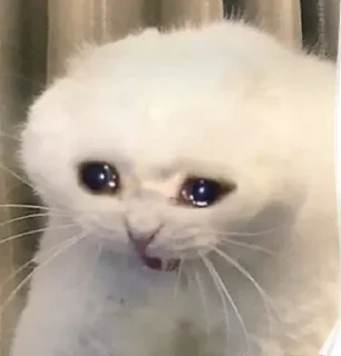 🥺 emoji @Savasciamk @AsenaUserBot Paketi 1 Telegram sticker 20 of 120