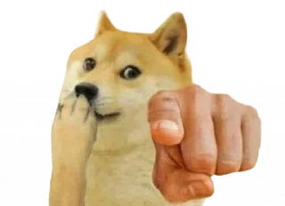 😂 emoji Such a Doge By @OH_NO_CRlNGE Telegram sticker 17 of 115