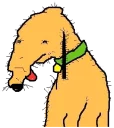 🐕 emoji Dolan Telegram sticker 9 of 10