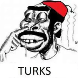 🖼 emoji Anti-turks pack Telegram sticker 18 of 29