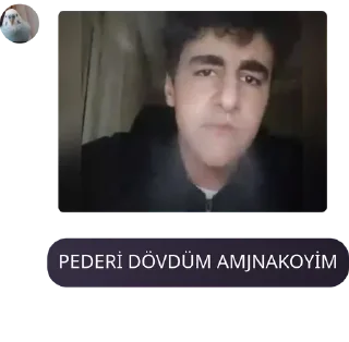 🧜‍♂️ emoji ZENCİGÖT SEVERLER DERNEĞİ [ZGS pack by @QuotLyBot Telegram sticker 10 of 120