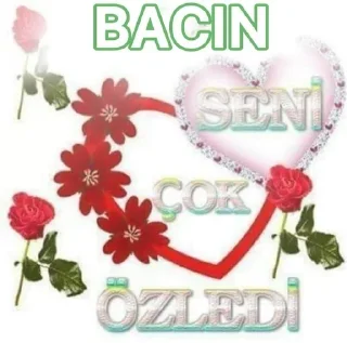 🌟 emoji GÜÇLÜ KAŞARLAR MUTLU YAŞARLAR� pack by @QuotLyBot Telegram sticker 11 of 36