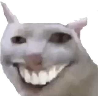 🤣 emoji @Krealty0 @AsenaUserBot Paketi 1 Telegram sticker 17 of 91