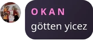 👩‍🦳 emoji Kurtlar Vadisi Pes 📳 pack by @QuotLyBot Telegram sticker 19 of 120