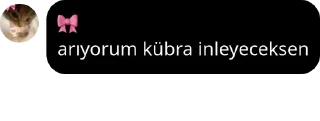 👨‍🚒 emoji Buse, Askbahcem💗 ve Kübra pack by @QuotLyBot Telegram sticker 24 of 37