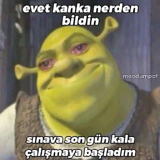 🤩 emoji MAVİ'ın Arak Paketi @cikartmaaraklayicibot Telegram sticker 21 of 80