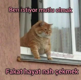🤩 emoji MAVİ'ın Arak Paketi @cikartmaaraklayicibot Telegram sticker 14 of 80